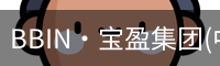 BIN宝盈集团